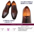 画像6: アントニオ デュカティー  1174 ワイン 革靴 メンズシューズ ビジネスシューズ スワールモカ 本革（レザー）日本製 (6)